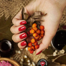 Carica l&#39;immagine nel visualizzatore di Gallery, Semilac - Tastes Of Fall Collection 7ml
