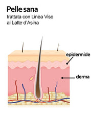 Carica l&#39;immagine nel visualizzatore di Gallery, LR Wonder Company - Siero Madre Al Latte D&#39;Asina 30ml
